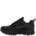 NIKE Air Zoom Pegasus GTX 'Black'