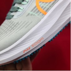 Nike Air Zoom Pegasus 39