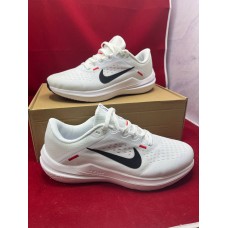 Nike Air Winflo 10